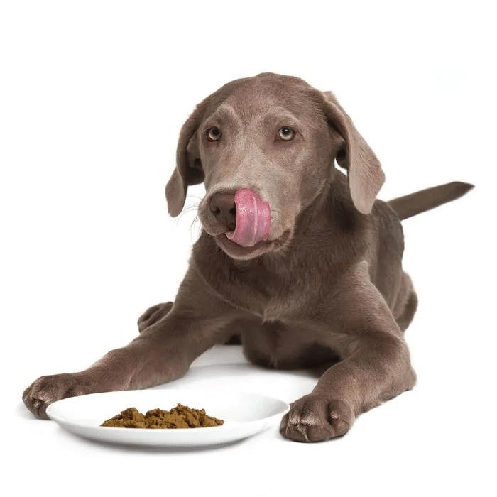 Smack nourriture Nourriture crue déshydratée pour chien - Poulet Chunky