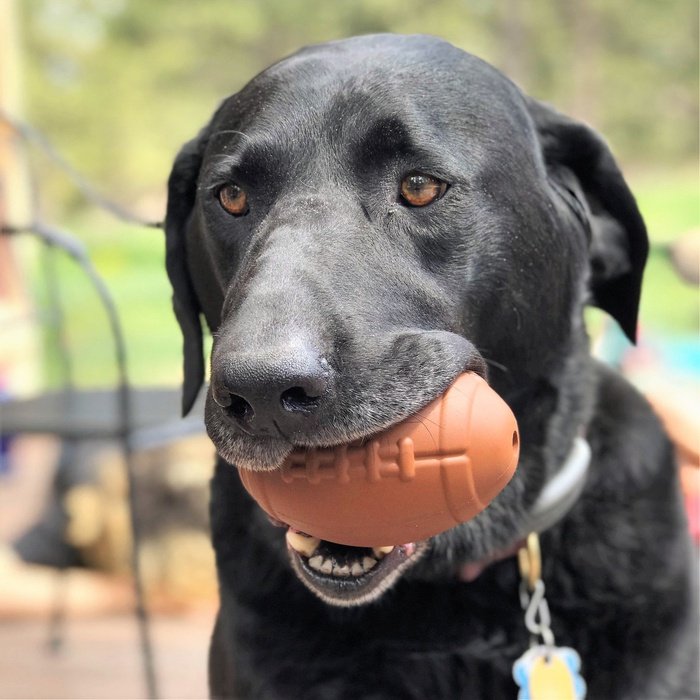 Sodapup jouets pour chien Large Ballon de Football - jouet distributeur de gâteries