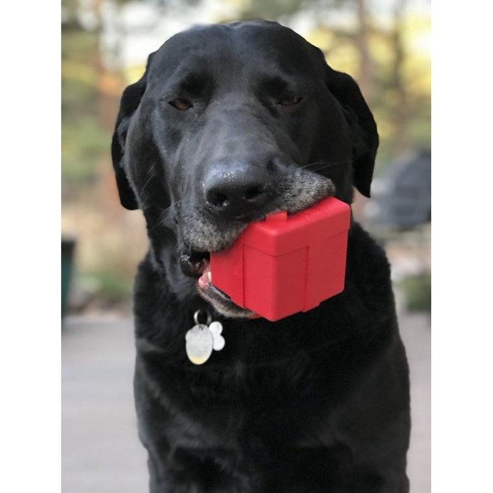 Sodapup jouets pour chien Large Cadeau - distributeur de gâteries