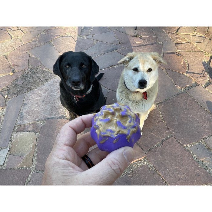 Sodapup jouets pour chien Crossed Bones - jouet à mâcher et distributeur de gâteries