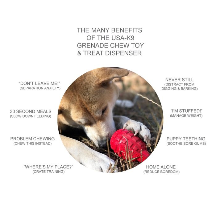 Sodapup jouets pour chien Grenade distributrice de gâteries en caoutchouc durable - Rose