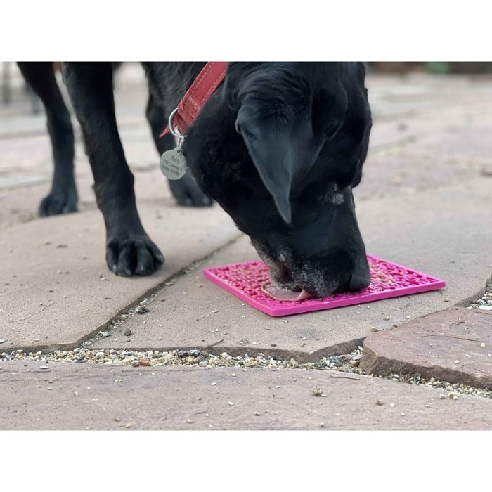 Sodapup jouets pour chien Licking Mat Casse-tête rose