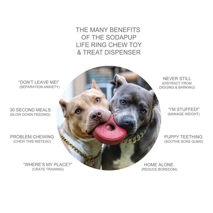 Sodapup jouets pour chien Large Life Ring - jouet distributeur de gâteries