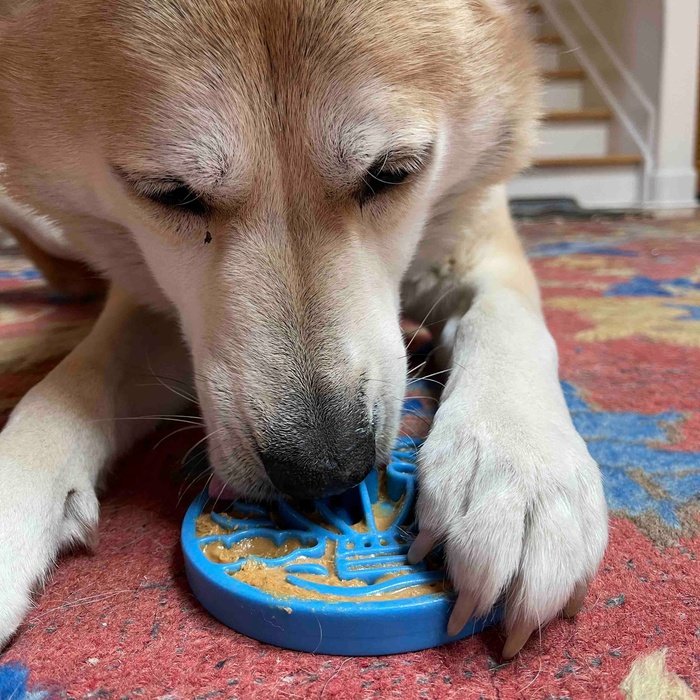 Sodapup jouets pour chien Tapis à lécher en nylon - Air Coin