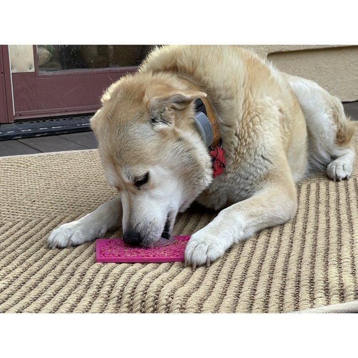 Sodapup jouets pour chien Tapis à lécher LickingMat FlowerPower