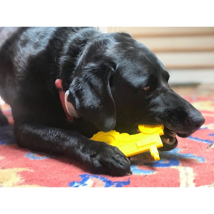 Sodapup jouets pour chien Tracteur - jouet à mâcher en nylon