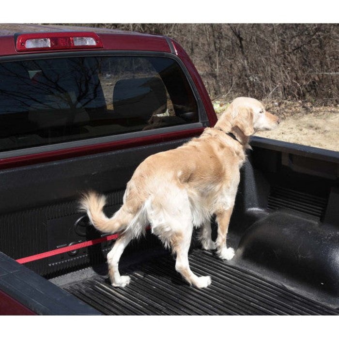 Solvit zipline Solvit Zipline système d'attache pour véhicule