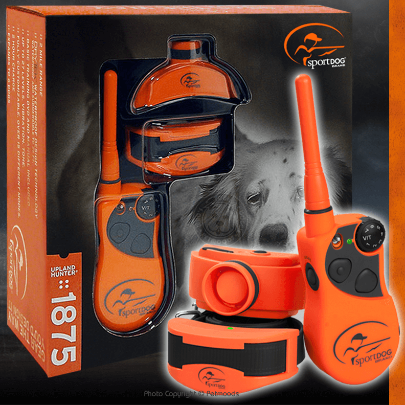 Beeper sportdog sales