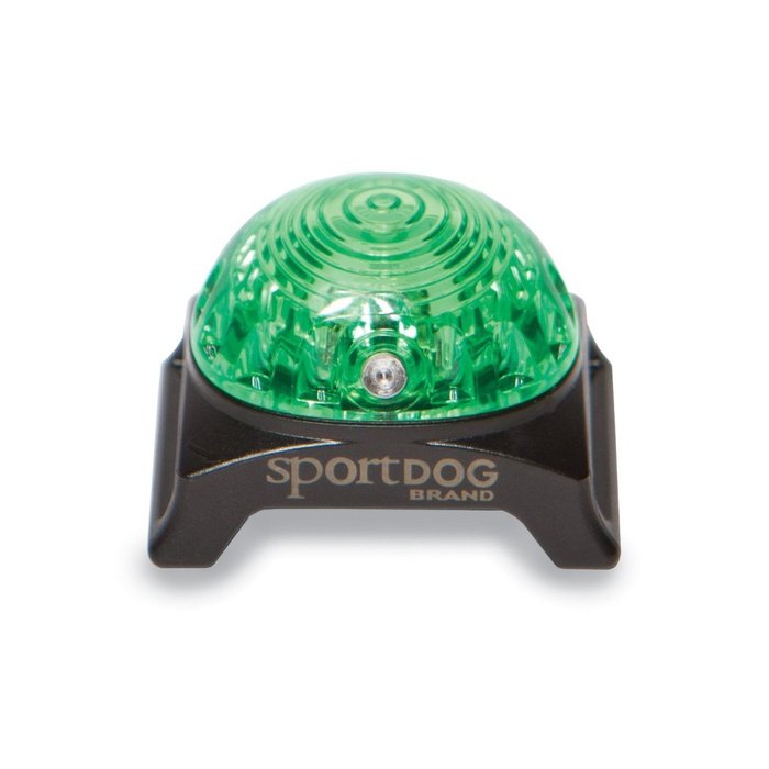 collier led pour chien