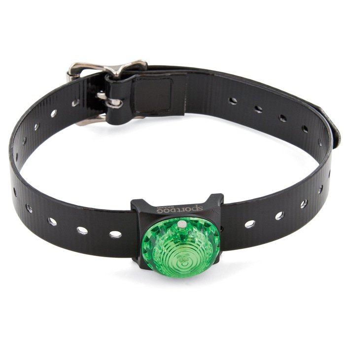 collier led pour chien
