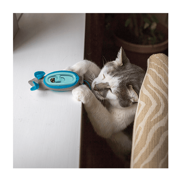 Spot The Hunting Snacker