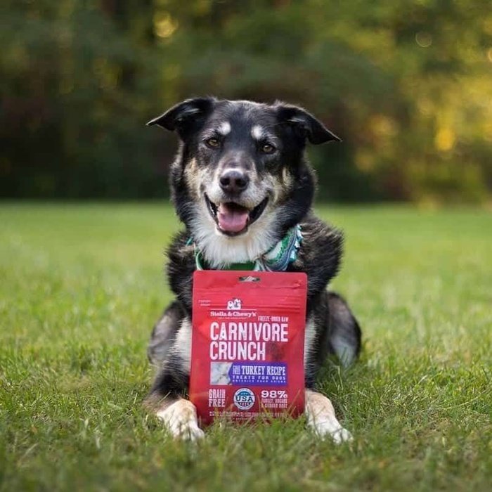 Stella &amp; Chewy&#39;s Gâteries Gâteries Carnivore Crunch 98% dinde