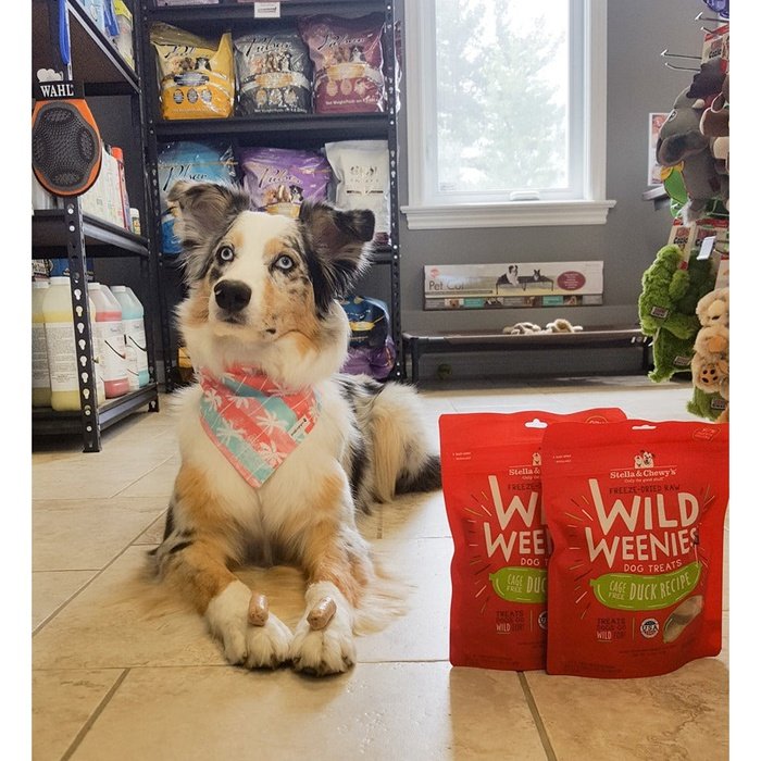 Stella & Chewy's Gâteries Saucisse de lyophilisé Stella Wild Weenies au canard