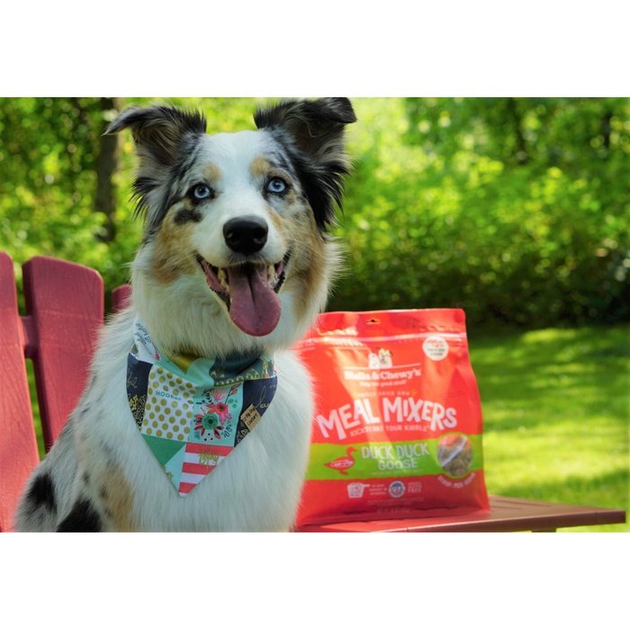Stella & Chewy's meal mixer Mélange à repas au Canard Stella & Chewy's Duck Duck Goose Meal Mixers