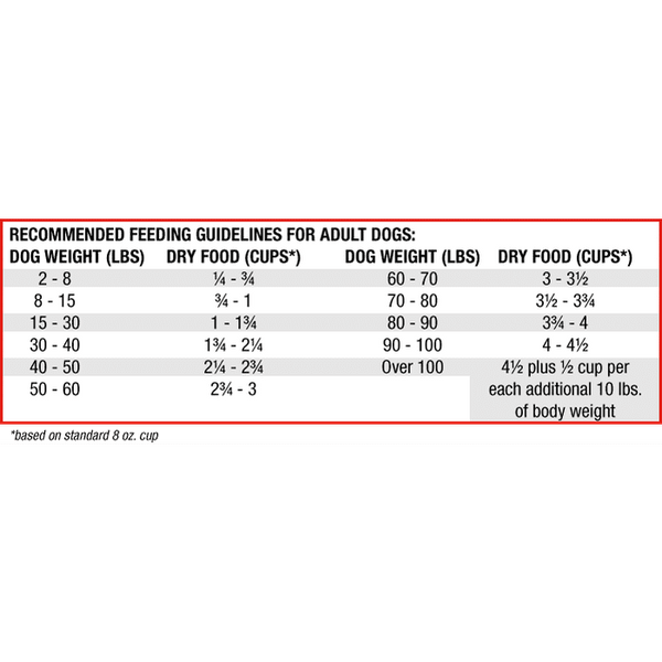 Stella and chewy raw sales food calculator