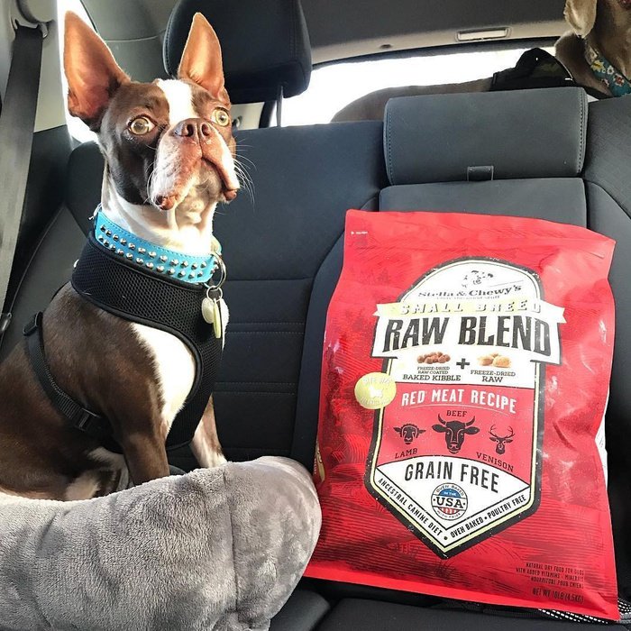 Stella &amp; Chewy&#39;s nourriture Nourriture pour chien Stella &amp; Chewy&#39;s Raw Blend viande rouge Petite Race