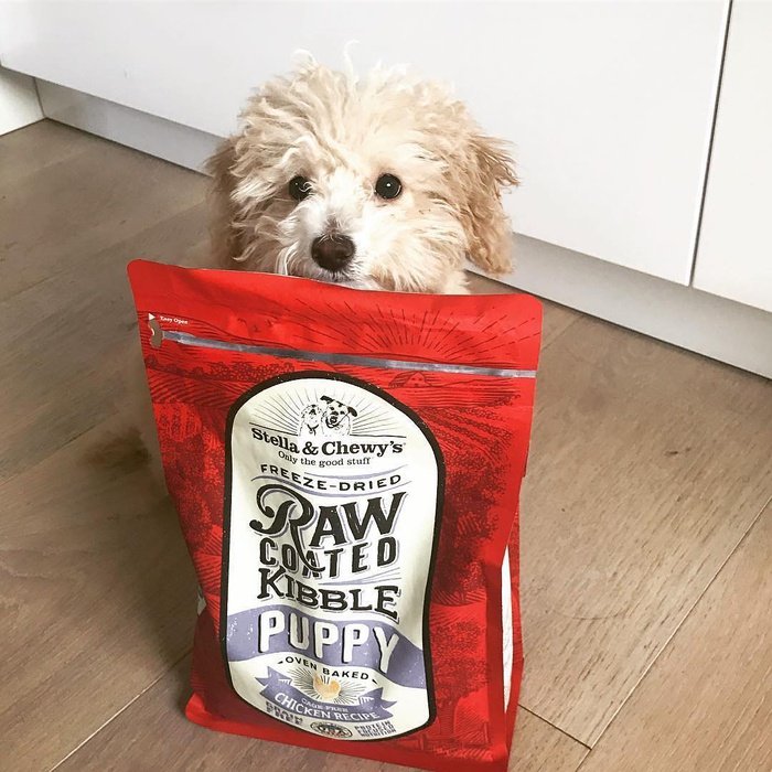 Stella &amp; Chewy&#39;s nourriture Nourriture pour chiot Stella &amp; Chewy&#39;s Cage-Free Chicken Raw Coated Kibble Puppy