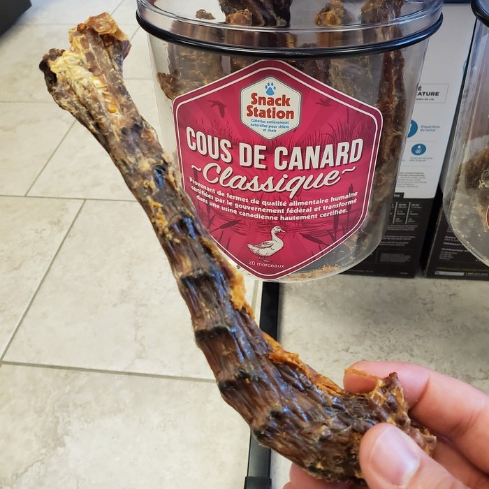 This & That Canine Co Gâteries Cou de canard déshydraté gâteries pour chien