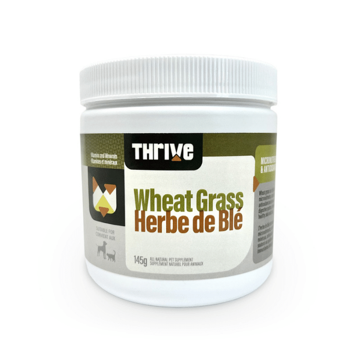 Thrive poudre Thrive Herbe de blé 145g