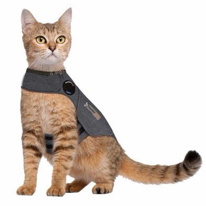 Thundershirt gillet ThunderShirt pour chat