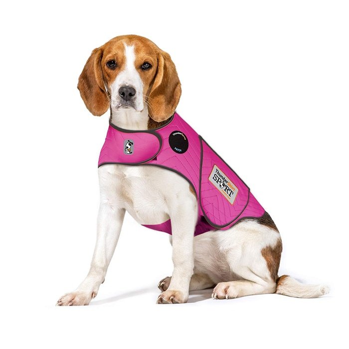 Thundershirt gillet ThunderShirt Sport Fuchsia pour chien
