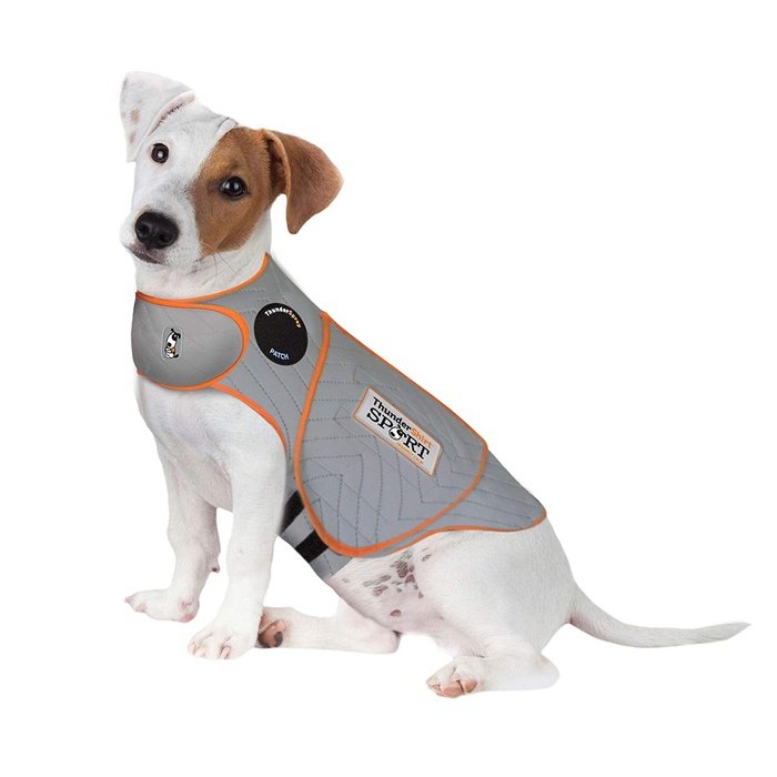 Dog Harness Thundershirt Petsmart Petsmart Thunder Jackets Dogs