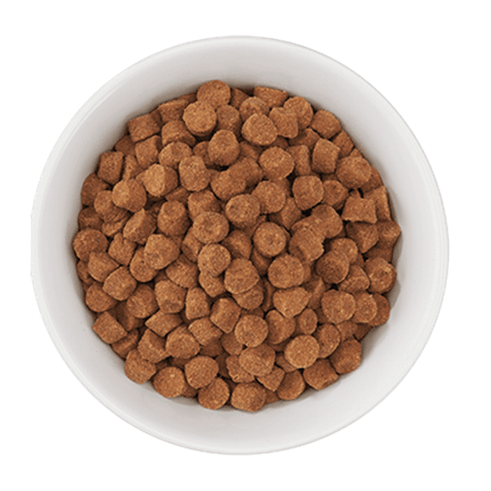 Tiki nourriture chat Nourriture pour Chats Tiki Cat Born Carnivore - Poulet & œuf