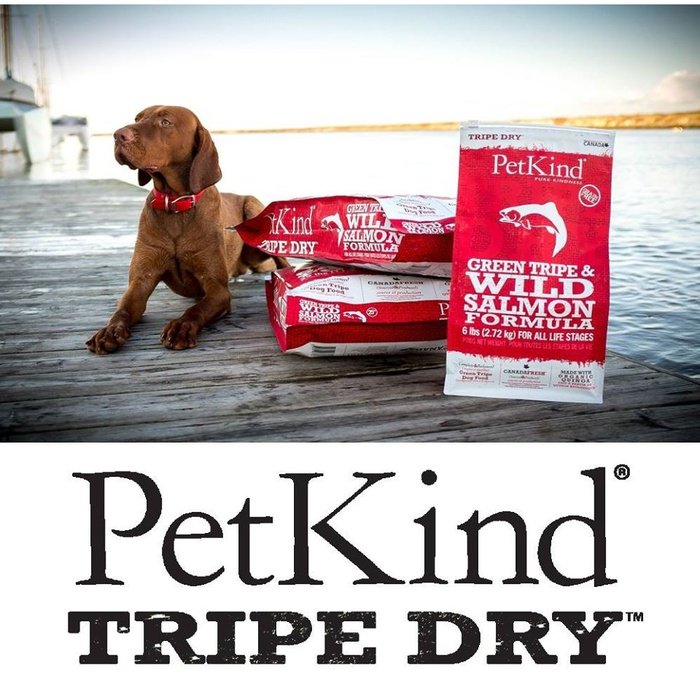 Tripett nourriture Nourriture pour chien PetKind Green Tripe & Wild Salmon