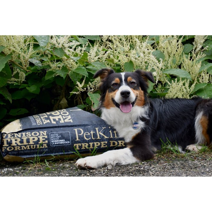 Tripett nourriture Nourriture pour chien Tripett PetKind Green Venison Tripe