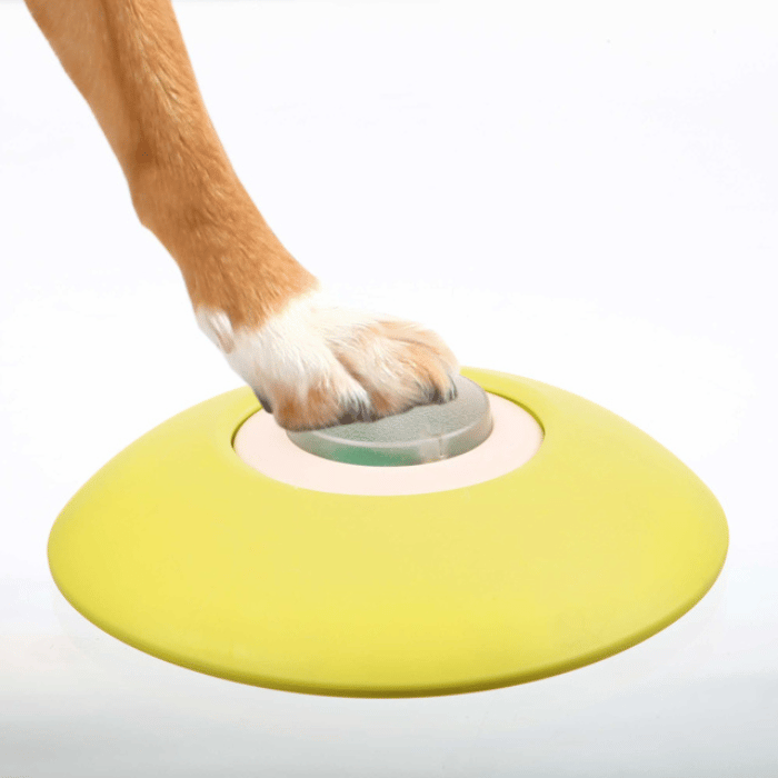 Trixie jouets pour chien Jeu de stratégie Memory Trainer