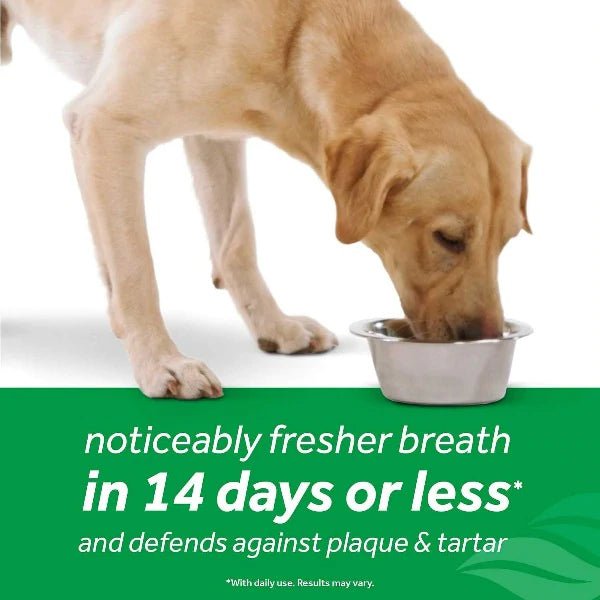Tropiclean Additif d&#39;eau - Solution de santé dentaire pour chiens 473ml