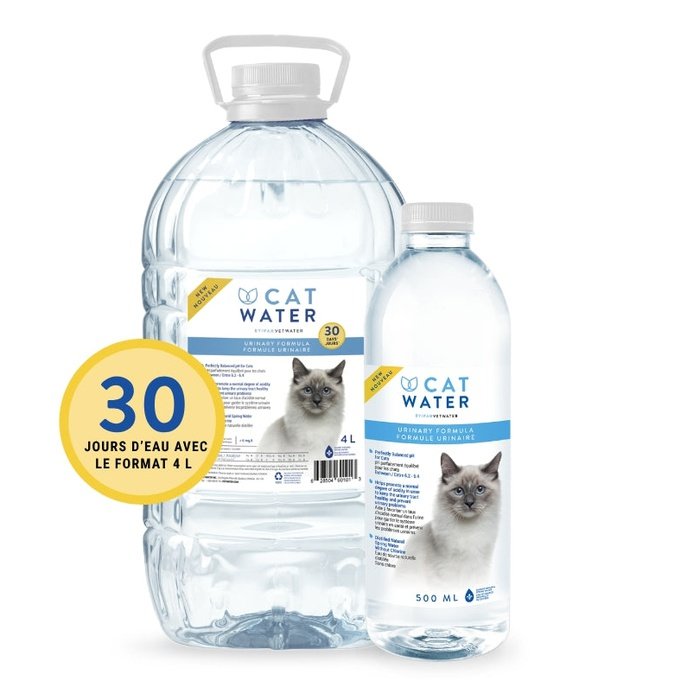 VetWater supplement 4L Cat Water problème urinaire
