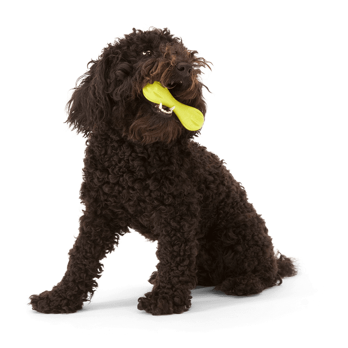 West Paw Os à mastiquer West Paw Hurley - Bleu