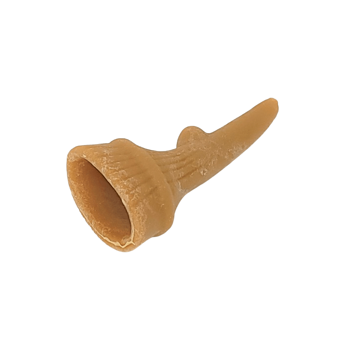 Whimzees Gâteries Gâteries dentaires végétarienne Whimzees Occupy