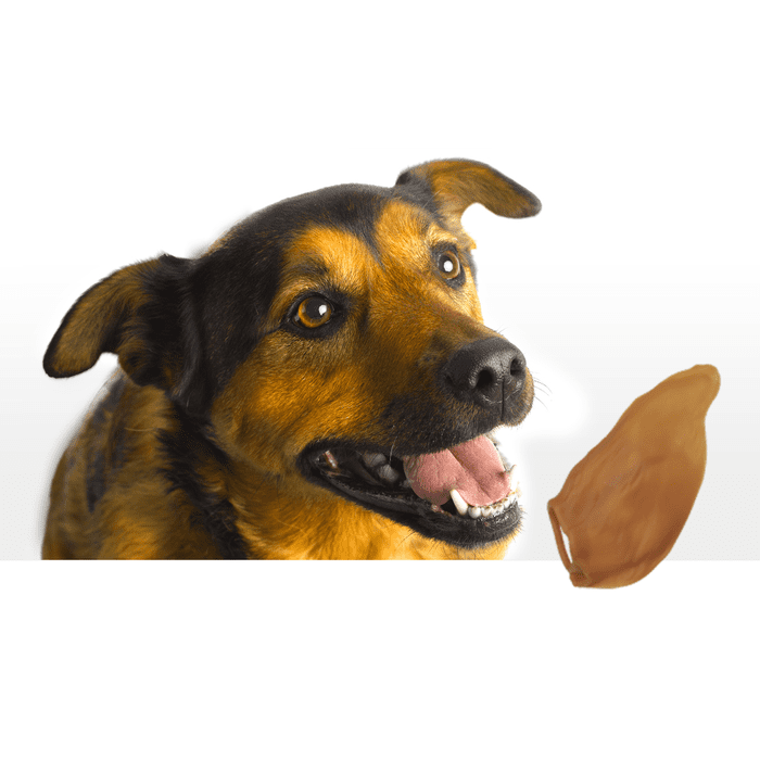 Whimzees Gâteries Oreille végétale Whimzees