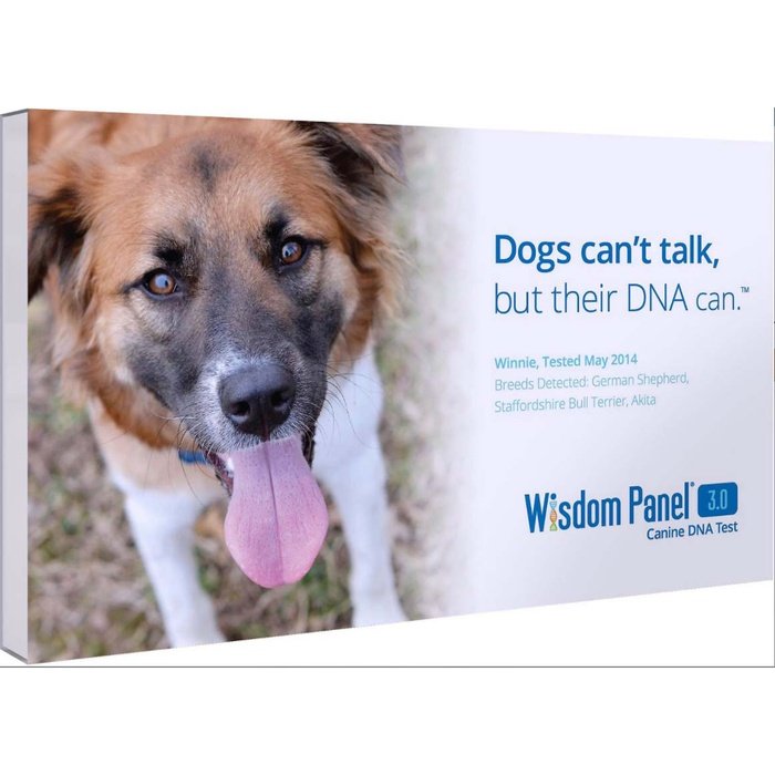 Test ADN pour chiens Wisdom Panel 3.0 - Sherbrooke Canin