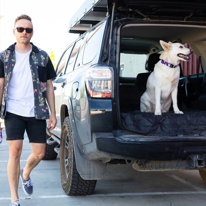 WolfGang collier Collier pour chiens TieDye