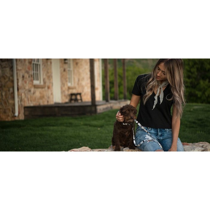 WolfGang collier Collier pour chiens WhiteOwl