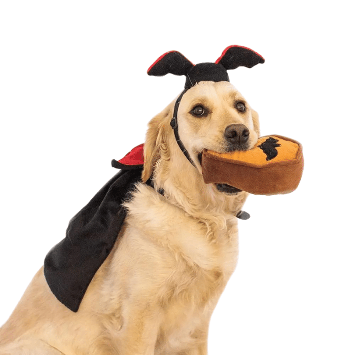 Zippy Paws jouets pour chien Costume d&#39;halloween - Dracula