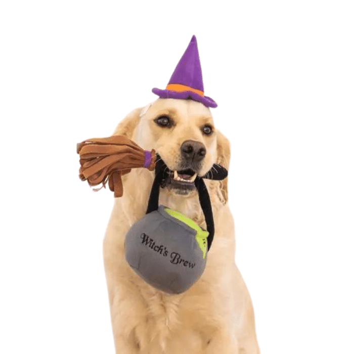 Zippy Paws jouets pour chien Costume d&#39;halloween - Sorcière