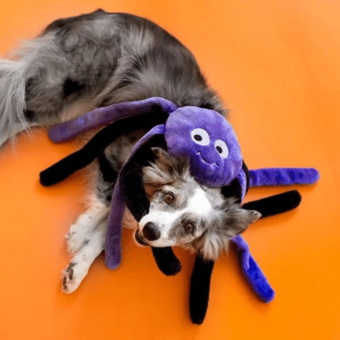 Zippy Paws jouets pour chien Halloween Grunterz - Araignée mauve