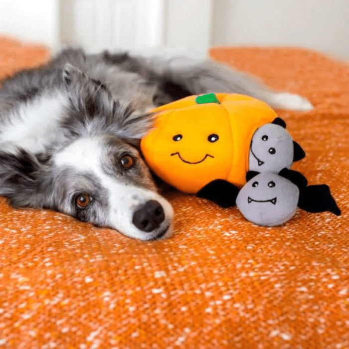 Zippy Paws jouets pour chien Jouet interactif Halloween Burrow - Citrouille avec chauves-souris