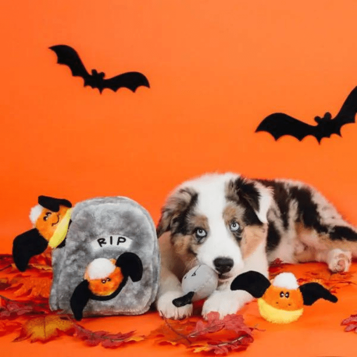 Zippy Paws jouets pour chien Jouet interactif Halloween Burrow - Spooky Gravestone
