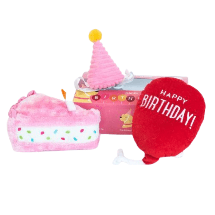 Zippy Paws jouets pour chien Jouet pour chien - Boîte anniversaire
